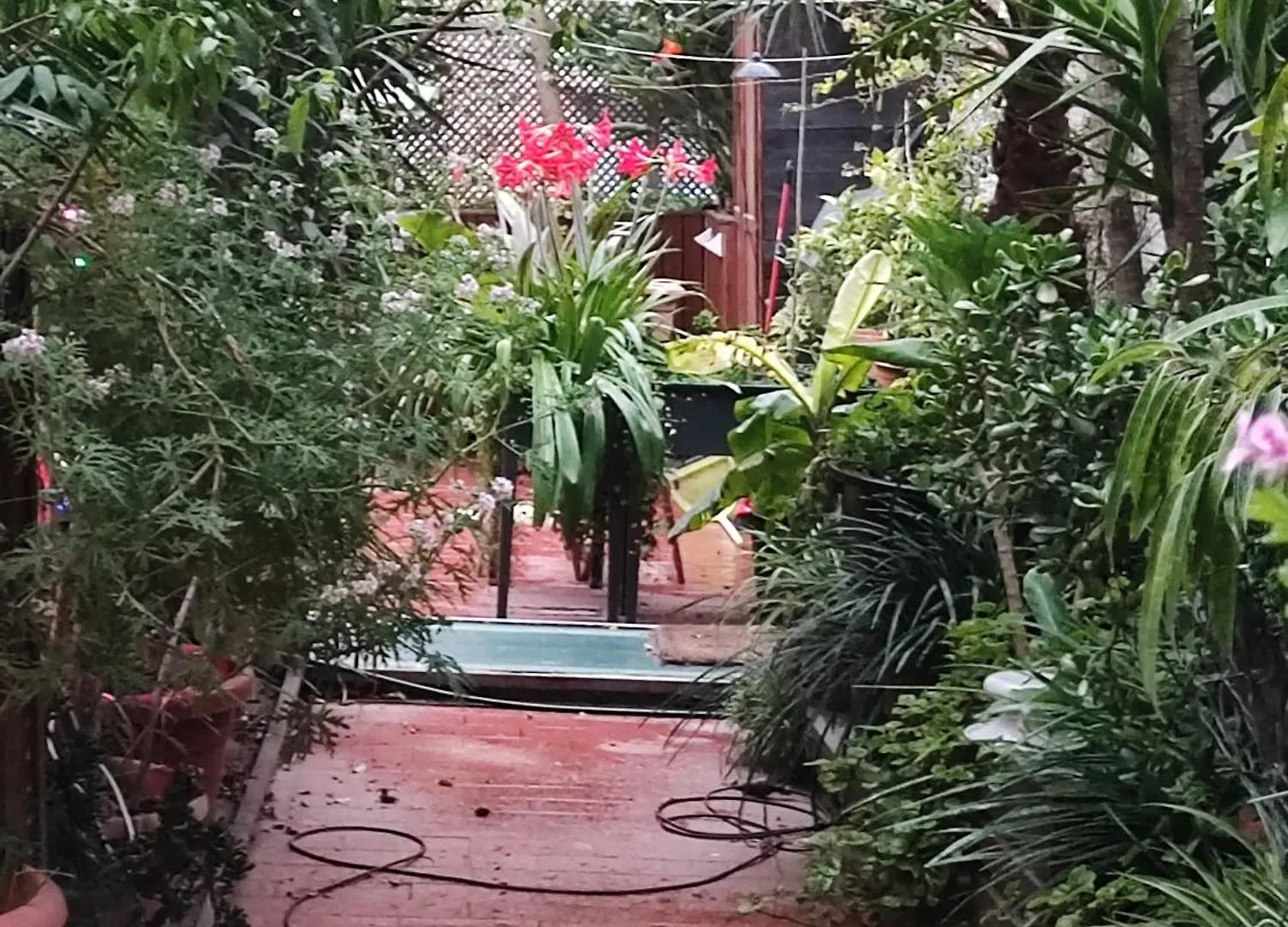 Luxury tent Jardin Secreto En El Centro De Barcelona 2 Hotel
